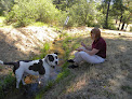 Pet boarding services The Kennels - Boarding And Grooming in Grass Valley in Grass Valley