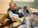Pet boarding services The Mainely Dog in Falmouth in Maine