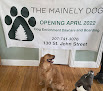 Pet boarding services The Mainely Dog in Portland in Maine