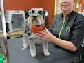 Pet boarding services The Master's Choice Grooming Boutique & Daycare in Goffstown in New Hampshire