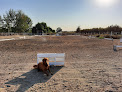 Pet boarding services The New Peachwood Horse Boarding Facility In Ceres, Ca in Ceres in CA