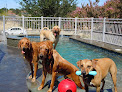 Pet boarding services The Parc Grand Resort in Fort Worth in Tarrant