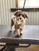 Pet boarding services The Paw Haven in Grant in Louisiana
