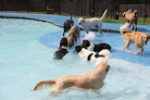 Pet boarding services The Paw Spot Pet Resort in Tyler in TX