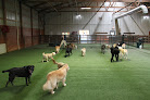 Pet boarding services The Pet Ranch in Olathe in KS