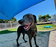 Pet boarding services The Pet Resort On Main in Victoria in Victoria