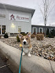 Pet boarding services The Pet Station Country Club in Lyndon in Kentucky