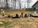 Pet boarding services The Pet Station Country Club in Louisville in Kentucky