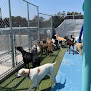 Pet boarding services The Ranch Pet Resort & Spa in Livermore in CA