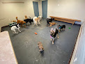 Pet boarding services The Rovervelt Pet Hotel & Spa in Westwego in Louisiana