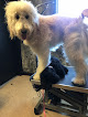 Pet boarding services The Ultimutt Dog Spa Grooming / Boarding in Decatur in Indiana