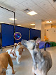 Pet boarding services The Valley Pet Resort And Spa in Whitinsville in Massachusetts