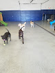 Pet boarding services The Woof On Durand Dog Daycare & Boarding in Sturtevant in Wisconsin
