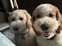 Pet boarding services The Working Dog Boarding And Grooming in Angola in Indiana