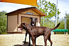 Pet boarding services Thousand Hills Pet Resort in San Luis Obispo in CA