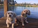 Pet boarding services Three Rivers Dog Grooming in Sunriver in Oregon