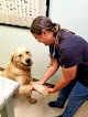 Pet boarding services Thunderbird Veterinary Hospital in Norman in Oklahoma