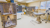 Pet boarding services Timbercreek Veterinary Hospital in Manhattan in Kansas