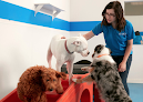 Pet boarding services Tk-9 Academy in Elkridge in Elkridge, MD