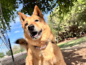 Pet boarding services Top Dog Boarding in Tempe in Arizona