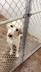 Pet boarding services Top Dog Pet Retreat Ltd in Bloomington in Indiana