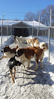 Pet boarding services Top Of The Hill Kennels in Highgate Center in VT