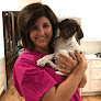Pet boarding services Town & Country Animal Hospital in Russell in Kansas