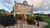 Pet boarding services Town & Country Kennel Club in Bloomington in IL