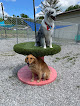 Pet boarding services Tri County Pet Resort in Lily in Kentucky