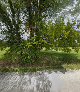 Pet boarding services Triple Blessed Dog Boarding in Richland City in Indiana