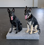 Pet boarding services True Canine Training in Scottsdale in Arizona
