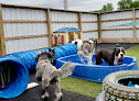 Pet boarding services Turning Tails Pet Company in Thornville in OH