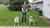 Pet boarding services Twin Pines Veterinary Clinic And Boarding in Hinckley in MN