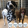 Pet boarding services Under One Woof - Dog Boarding, Daycare & Grooming in Oak Park Heights in MN