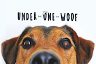 Pet boarding services Under One Woof in Franklin in Indiana