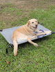 Pet boarding services Unicorn Boarding Kennel in Huntsville in Alabama