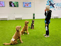 Pet boarding services Unleashed Alaska in Anchorage in Alaska