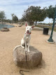Pet boarding services Unleashed Canine Az in Surprise in Surprise, AZ