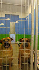 Pet boarding services Unleashed Inn in Columbiana in Alabama