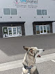 Pet boarding services Unleashed Pet Resort in St. George in Utah