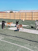 Pet boarding services Urban Doghouse in Oklahoma City in OK
