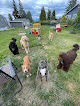 Pet boarding services Vacation Pet Care, Llc in Everett in Snohomish