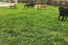 Pet boarding services Valleydale Animal Clinic in Birmingham in Alabama