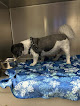 Pet boarding services Vca Amherst Animal Hospital in Monroe in Virginia
