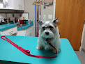 Pet boarding services Vca Amor Animal Hospital in West Jordan in Salt Lake