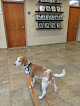 Pet boarding services Vca Calvert Veterinary Center in Pasadena in Maryland