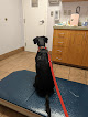Pet boarding services Vca Columbia Animal Hospital At Hickory Ridge in Columbia in Maryland