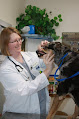 Pet boarding services Vca Crestwood Animal Hospital in Ridgecrest in CA