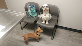 Pet boarding services Vca Dudley Avenue Animal Hospital in Parkersburg in West Virginia