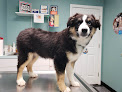 Pet boarding services Vca Lakes Region Veterinary Hospital in Laconia in New Hampshire